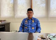 Hari Raya Idul Adha, Pemkab Haltim Salurkan 20 Ekor Sapi
