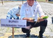 Bupati Ubaid Bilang Haltim Siap Jadi Limbung Pangan Malut