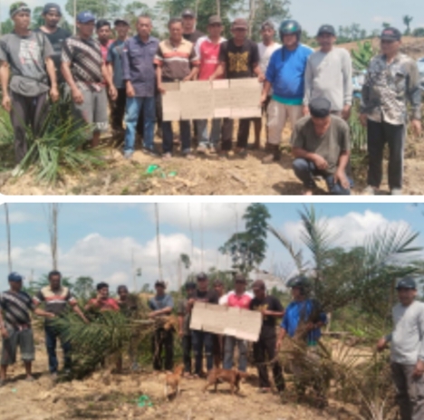 AKPERSI Kaltim Soroti Negara Absen  Penggusuran Lahan Sawit di Berau