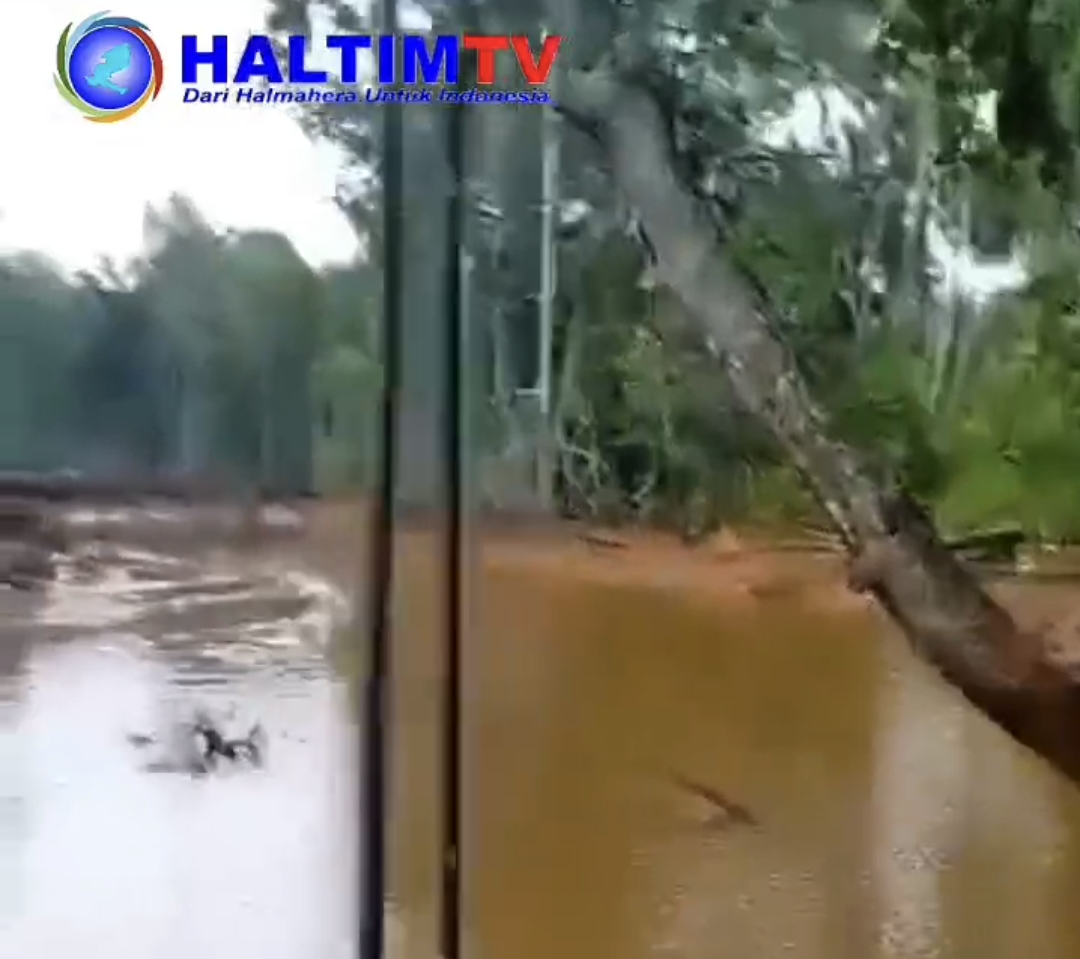 Pemprov Malut Diduga Lindungi Perusahaan Pencemar Lingkungan di Haltim?