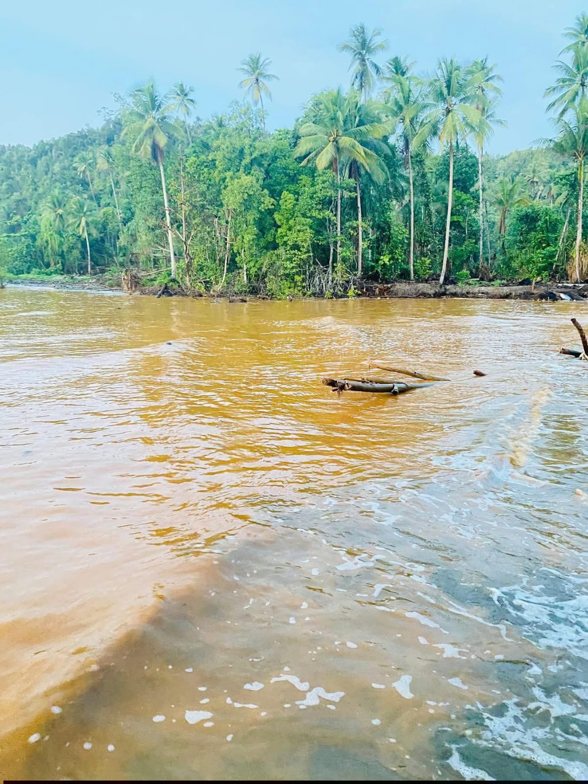 Pencemaran Feni Haltim Ancam Biota Laut, LATAMLA Desak Transparansi AMDAL