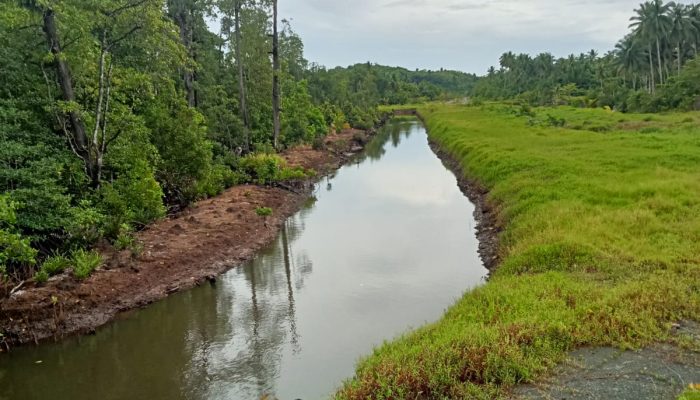 Proyek Normalisasi Kanal 5 Paket Puluhan Miliar Diduga Monopoli Satu Kontraktor