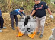 Lakalantas di Maba Renggut Nyawa Pengemudi Kawasaski Howo