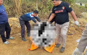 Lakalantas di Maba Renggut Nyawa Pengemudi Kawasaski Howo