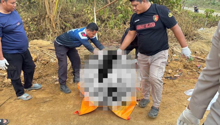 Lakalantas di Maba Renggut Nyawa Pengemudi Kawasaski Howo